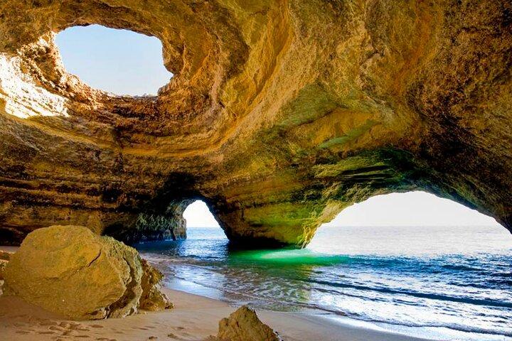 Delfini e grotte di Benagil: tour di 3 ore per piccoli gruppi con un biologo.