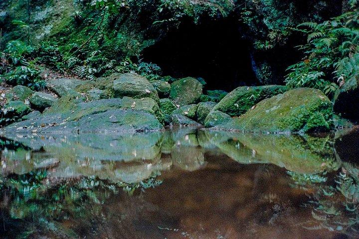 プロモーション リオ デ ジャネイロ : 4 Wonders ジープ ツアー + ダウンタウン ウォーキング ツアー