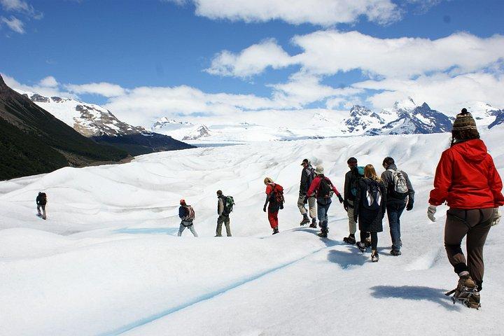 4-dagars El Calafate-äventyr - vandring i Patagoniens skogar och Perito Moreno-glaciären!