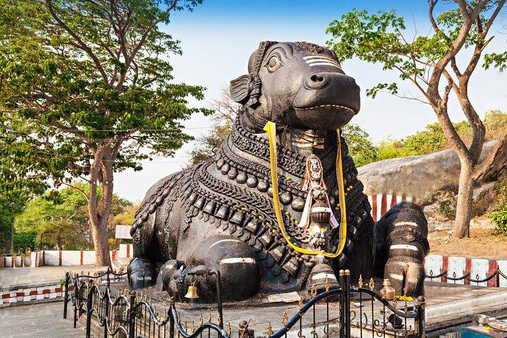 Best of Mysore (Guided Full Day City Sightseeing Tour by Car)