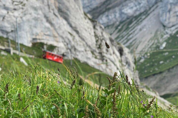 Tour privato del Monte Pilatus e della crociera sul Lago dei Quattro Cantoni | Da Lucerna