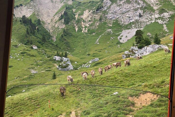 Tour privato del Monte Pilatus e della crociera sul Lago dei Quattro Cantoni | Da Lucerna