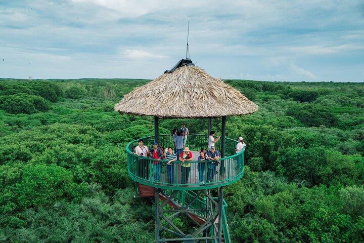 Descubra Can Gio Mangrove Forest em uma excursão de dia inteiro de scooter saindo da cidade de Ho Chi Minh