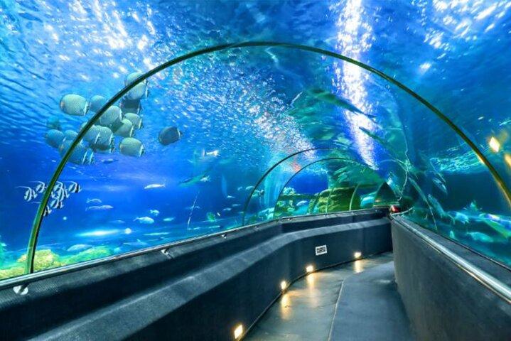 Ontdek het noorden - kajakken - Starfish Beach - Nationaal park - Grand World