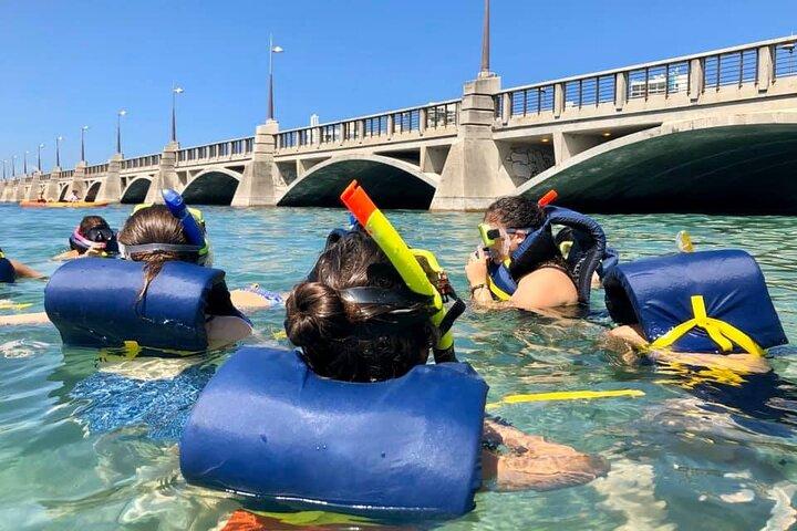 Experiencia de buceo con tortuga marina