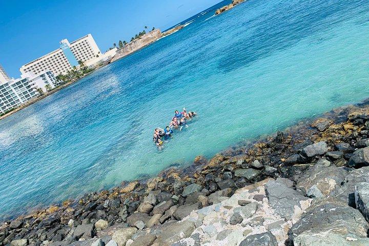 Experiencia de buceo con tortuga marina
