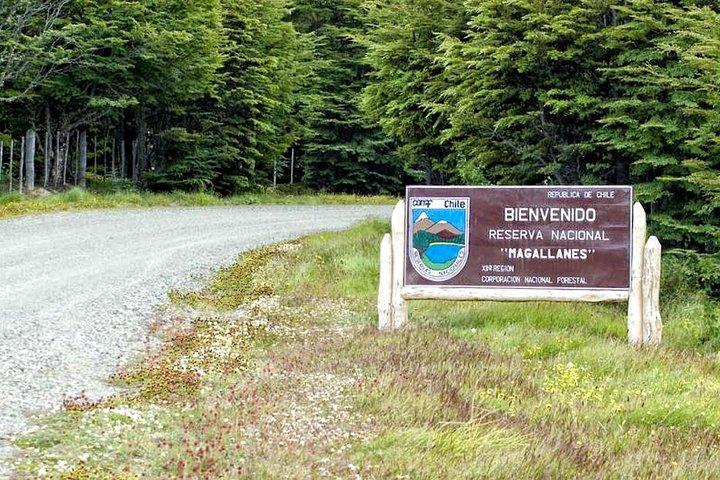 Riserva Nazionale di Magallanes Escursionismo da Punta Arenas