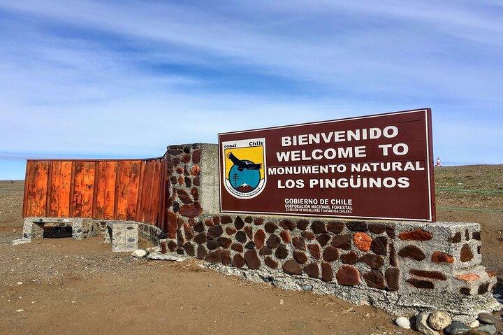 Navegação para Fiordes do Sul e Ilha Magdalena