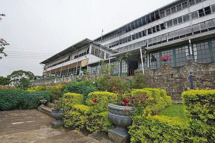 リプトンズ シート紅茶工場訪問茶園ツアー |エラから