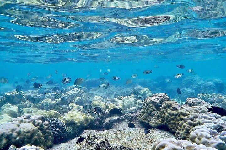 フーコックシュノーケリングと北への釣り1日ツアー