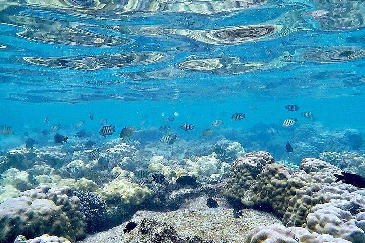 フーコックシュノーケリングと釣りから南への1日ツアー