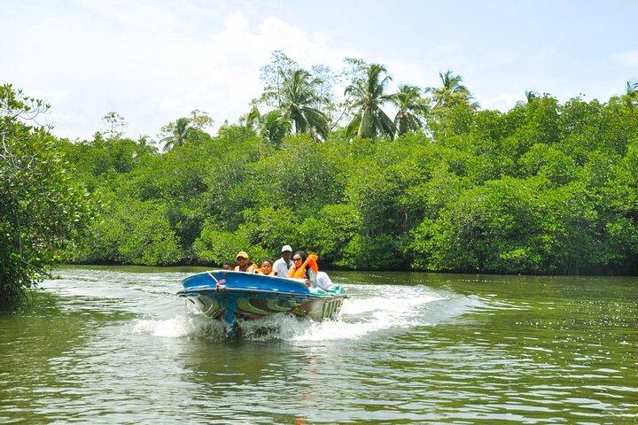 Bentota City Tour desde Dikwella