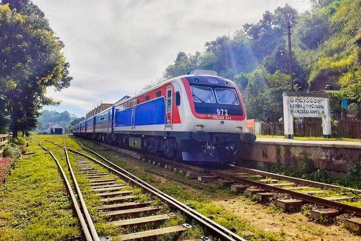 Viagem de trem de Ella para Peradeniya (trem nº 1002 "Denuwara Menike")