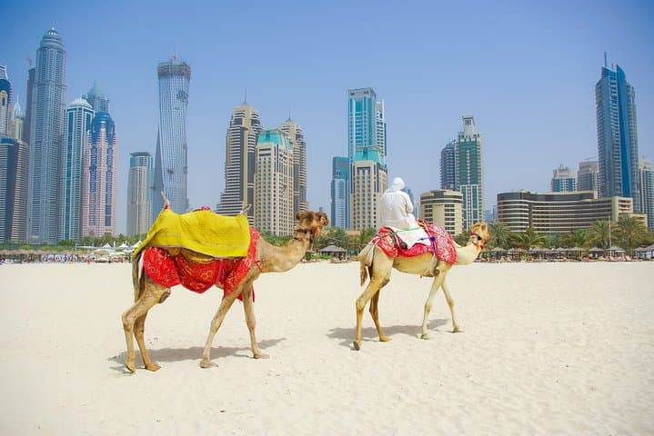 Dubai City Tour with Burj Khalifa at the top entry