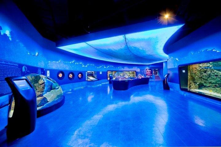 Private Istanbul full day daily or shopping tour