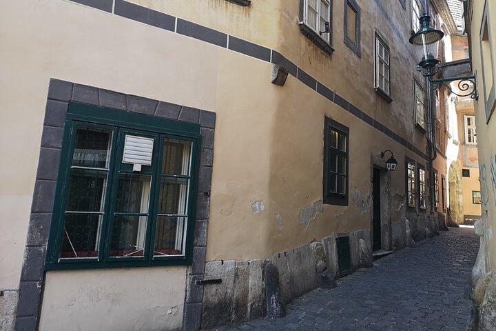 La diabolica Vienna