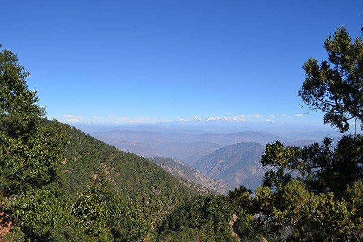 Explore lo mejor del bosque y la naturaleza en Nainital (visita guiada de 4,5 horas)