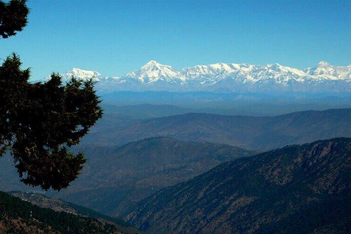 Explore lo mejor del bosque y la naturaleza en Nainital (visita guiada de 4,5 horas)