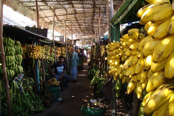 Vibrant Markets of Madurai (tour guidato a piedi di 2 ore)