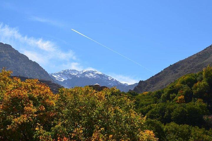 Marrakech: Escursione di un giorno nella Valle di Imlil & Atlas Mountains