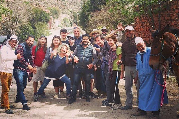 Atlas Mountains tour with camel ride, hike & lunch