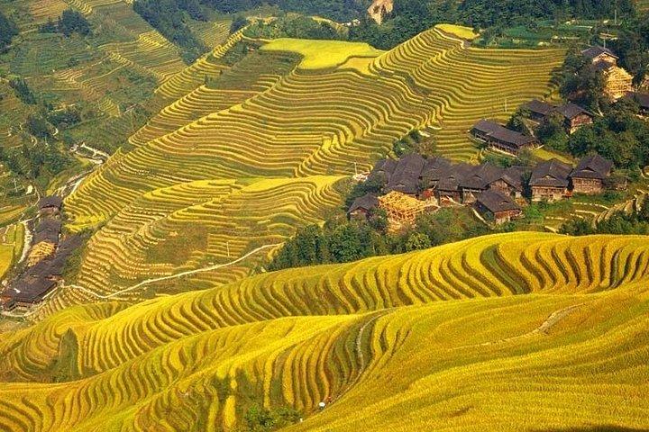 Excursión de un día a Guilin: terrazas de arroz de la columna vertebral del dragón y aldea étnica Ping'an Zhuang