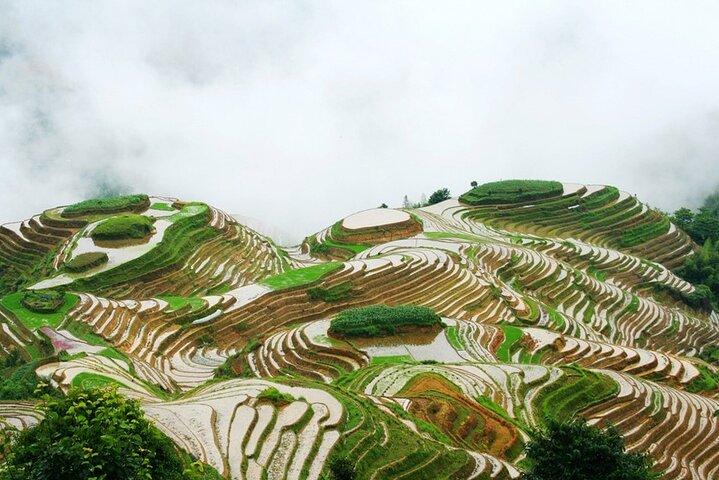 Excursión de un día a Guilin: terrazas de arroz de la columna vertebral del dragón y aldea étnica Ping'an Zhuang