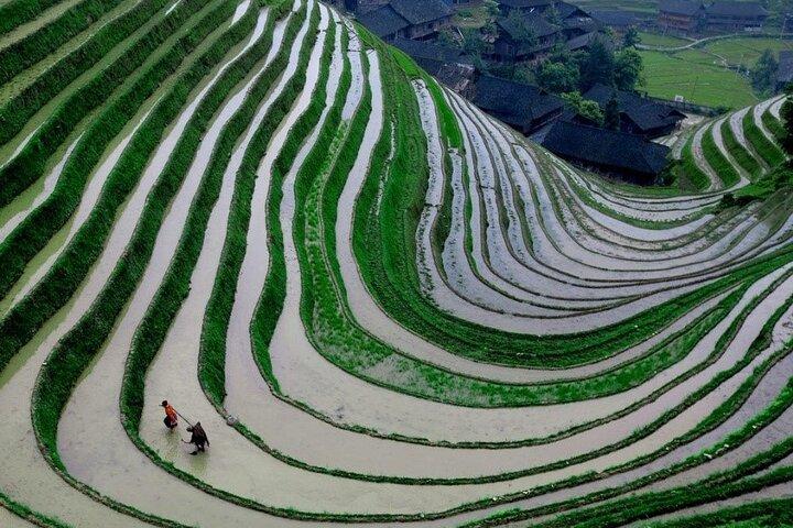 Excursión de un día a Guilin: terrazas de arroz de la columna vertebral del dragón y aldea étnica Ping'an Zhuang