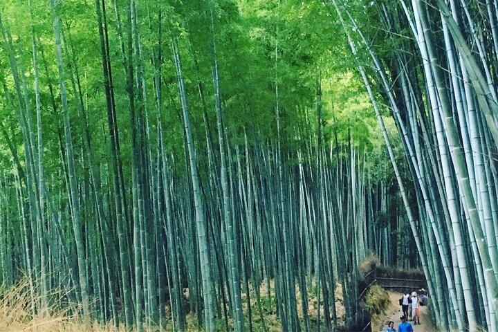 Tour privado a pie de día completo de Kioto