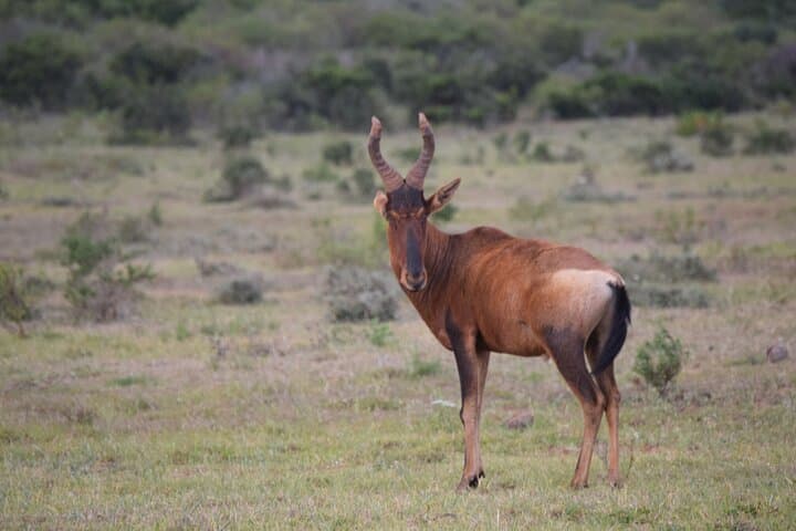 Safari Cycle and !Khwa ttu San Heritage Experience