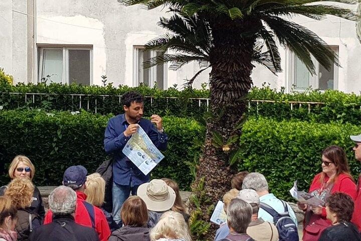 Privat endagsvandring i Capri med guide