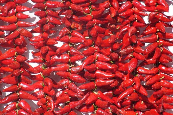 Baskenland Food Tour
