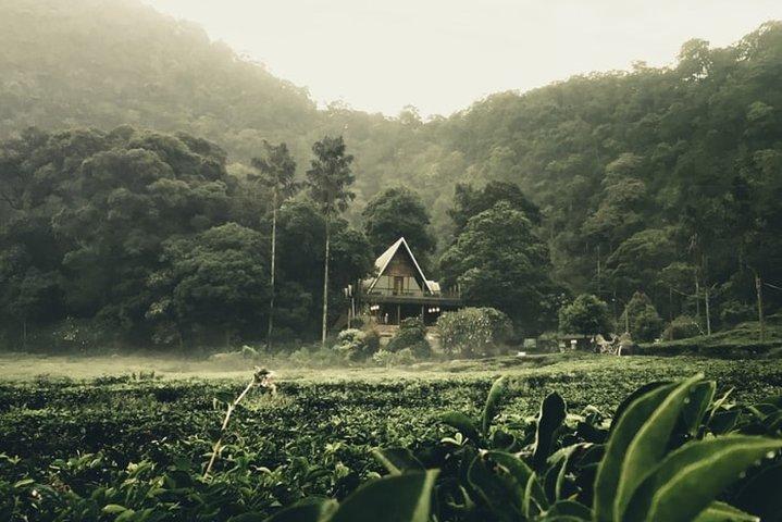 Visite guidée privée d'une journée de puncak; Solo; Petit groupe
