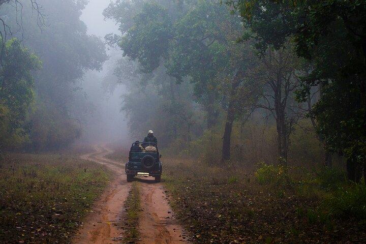 Tour safari privato di un'intera giornata al Parco nazionale di Ranthambore