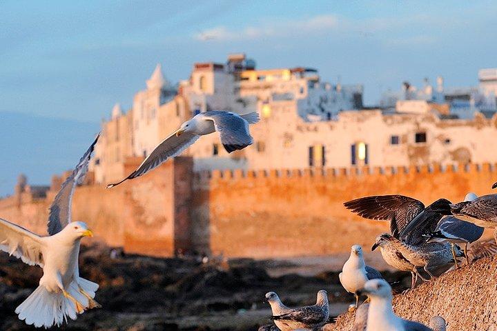 Full-Day Trip to Essaouira from Marrakech