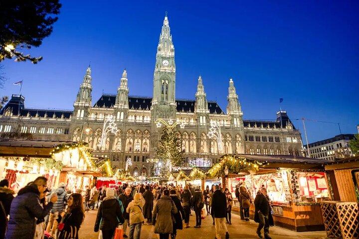 ブダペストからの昼食付きの終日プライベートウィーンクリスマスマーケットツアー