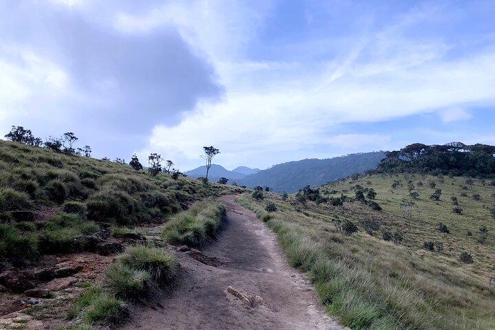 Escursione di un giorno alle pianure di Horton con treno panoramico da Nuwara Eliya