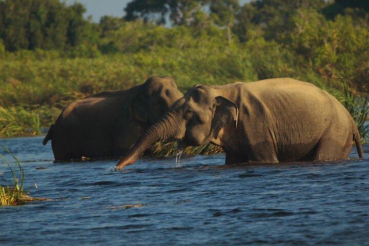 Gal Oya National Park | Private Safari