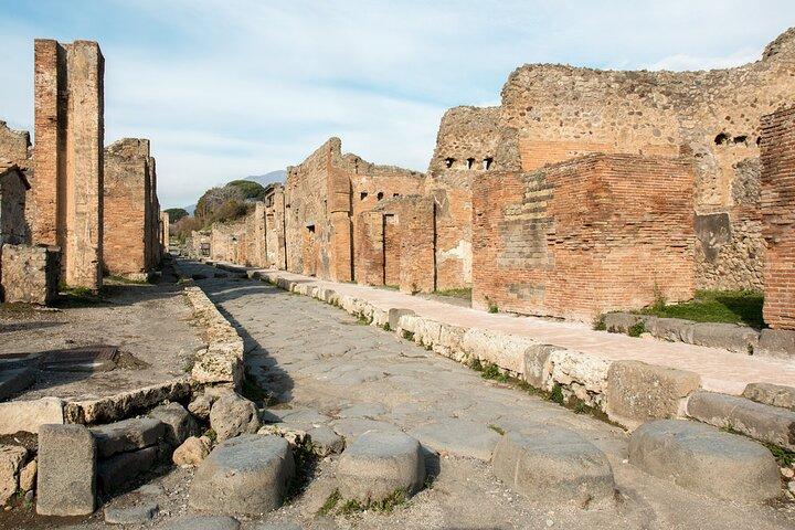 Recorrido privado de un día completo con conductor por lo más destacado de Nápoles y Pompeya