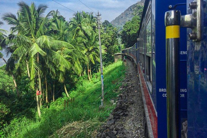 Höjdpunkter i Sri Lanka med tåg (12)