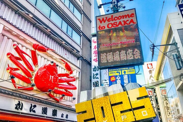 Osaka Private Day Trip - Enjoy Your First-Time Visit to Osaka!
