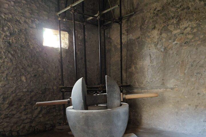 Visite privée de Pompéi avec billets d'entrée rapide aux ruines et guide exclusif