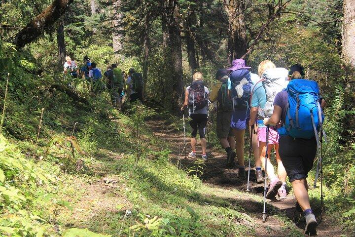 Caminata de 7 días por Druk Path en Bután