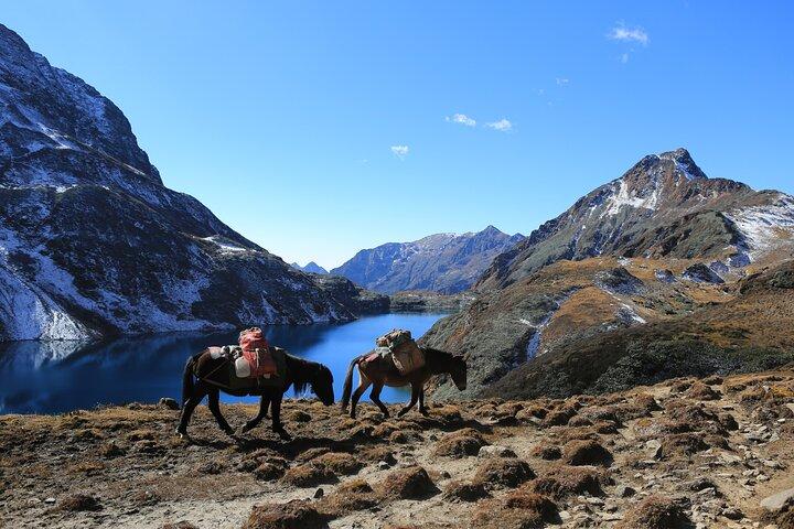 Caminata de 7 días por Druk Path en Bután
