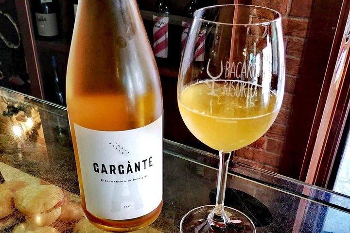 Private Tour of a Hidden Vineyard in Venice with Wine Tasting