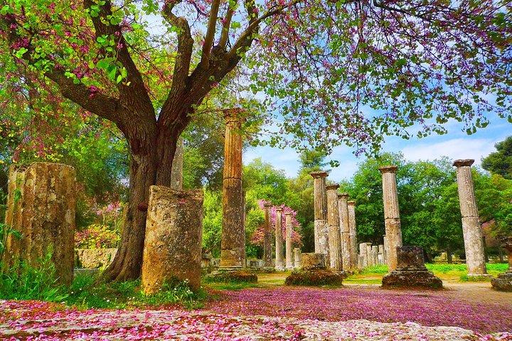 古代オリンピアプライベートツアー： アテネからの最高の観光旅行