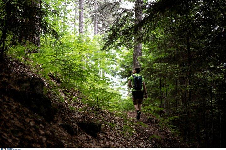 Mount Olympus Beyond the Postcards : Mythes, Nature & Chemins cachés