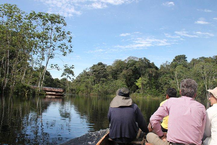 Excursion d'une journée complète au parc national Pacaya Samiria