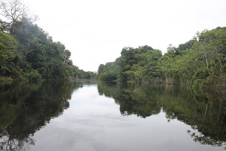 Excursão de dia inteiro ao Parque Nacional Pacaya Samiria