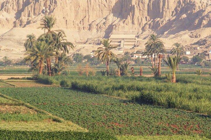 TOUR DE DÍA A LUXOR DESDE ASWAN